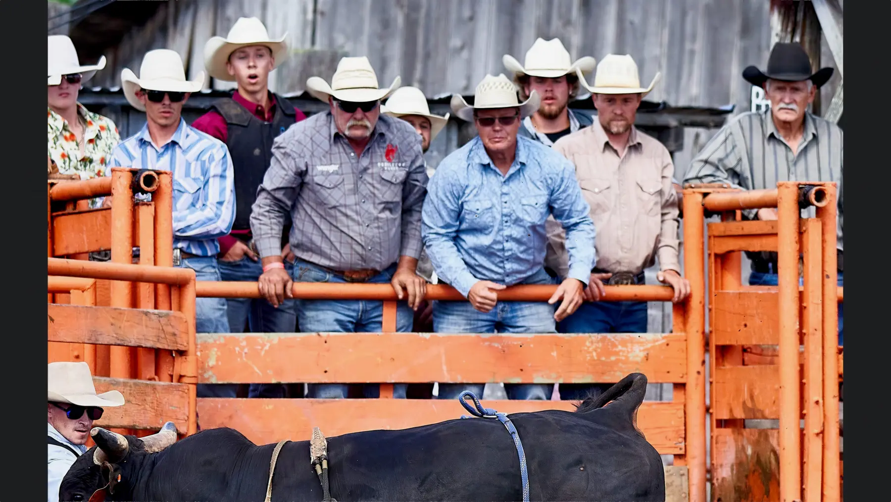 Jon Dorau with the Dorau Farms Rodeo crew above the bull chute